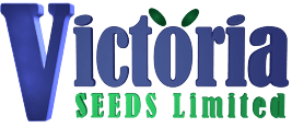 victoria-seeds-logo