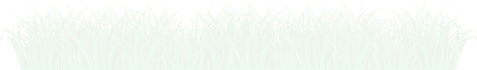 Leaf Png